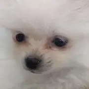 灯 即購入可⭕の画像