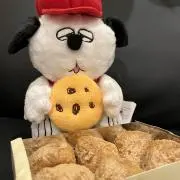 Renaの画像