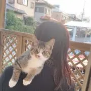 りんりんの画像