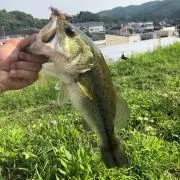 ニッシー
