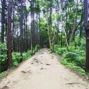Y.Mの画像