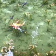 おみつの画像