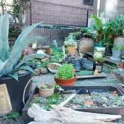 A.プランツの画像
