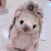 はりねず 断捨離中の画像