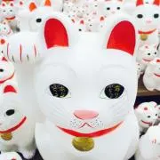 あやのの画像