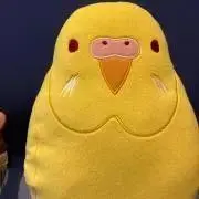 ずぃの画像