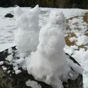 Ambieの画像