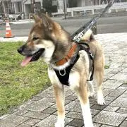 Riko.Ｓの画像