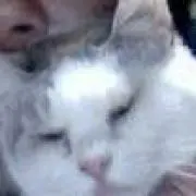 mameoの画像
