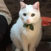ながっち