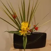 のこのこ