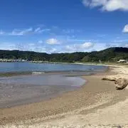 あぶりチーズサーモン