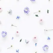 ♡.