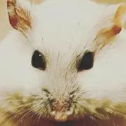 サジの画像