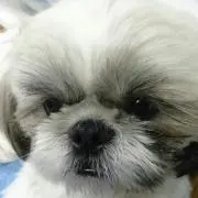 り～こ♪♪♪の画像