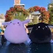 愁湊( *ˊᗜˋ)ノꕤ* プロフ見てね♡