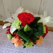 ミイミイの画像