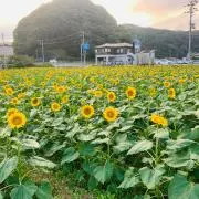 makiの画像