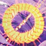 Y