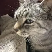 ゆっこyukko5の画像