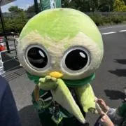 ともちゃんの画像