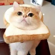 keiの画像