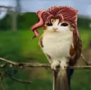 あヲの画像
