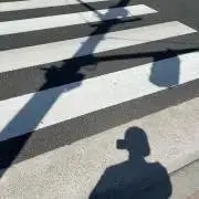 13の画像