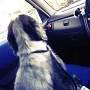 yunaya※プロフィール必読の画像