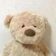 ここの画像