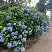 mの画像
