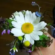 かなかな