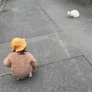 sachanの画像