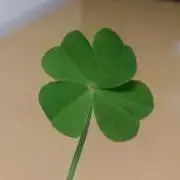 ゆう(*ˊ˘ˋ*)。♪:*°