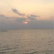 りあの画像