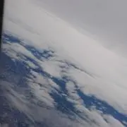 ネク
