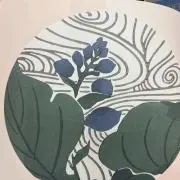 タカ