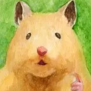 こんこんの画像