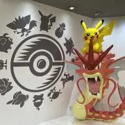 ぽっけんの画像