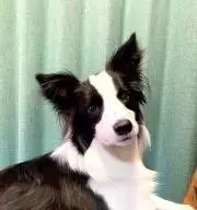 YAMORIの画像