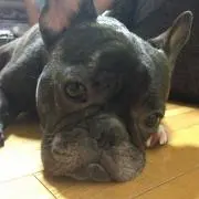 にしやん