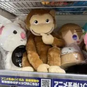 ぺぺぞうの画像