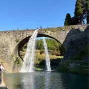 yn ※プロフィールご確認下さいの画像