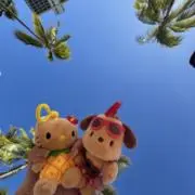 haRuの画像