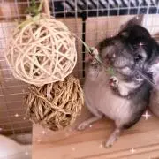 まめことあたし。