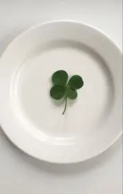 ㅁㅎㄹの画像