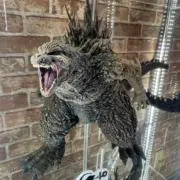 ぺるの画像