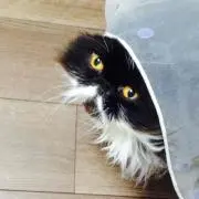 まりの