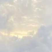 たもの画像