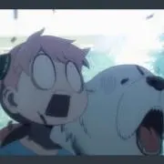も